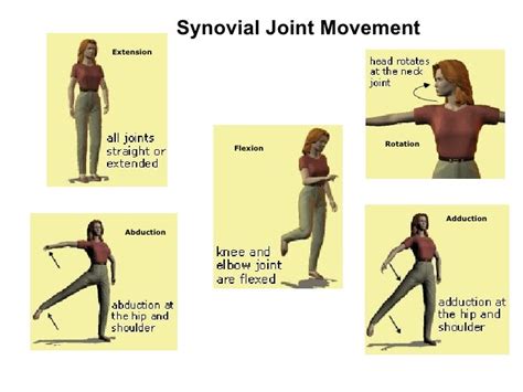 examples of abduction in sport|Types of joint movement in the skeletal system.